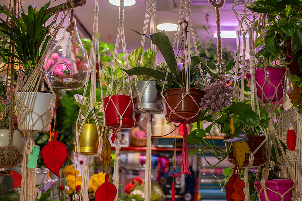 Floristería Bambú – Mercado Puerta de la Carne